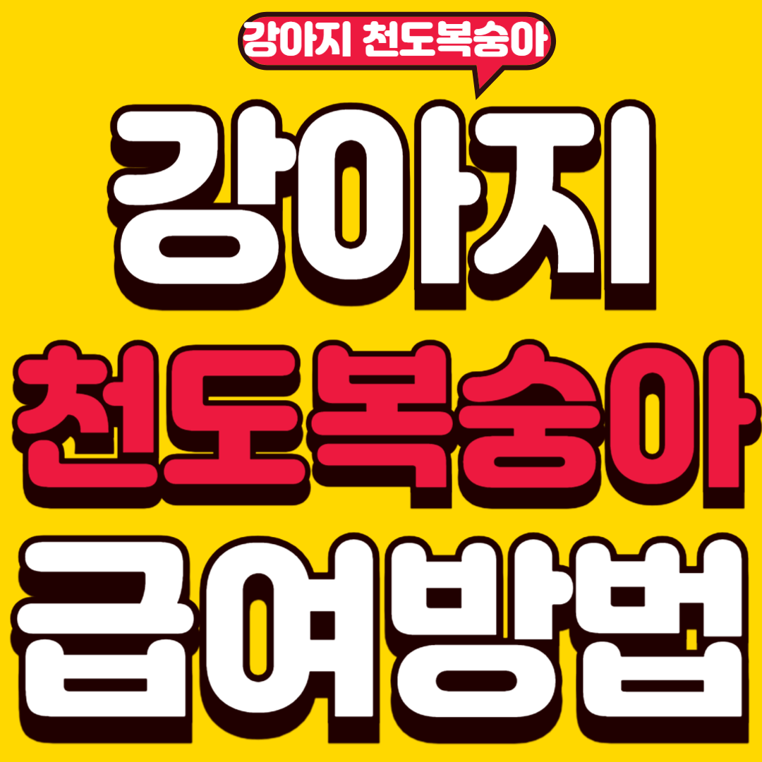 강아지천도복숭아