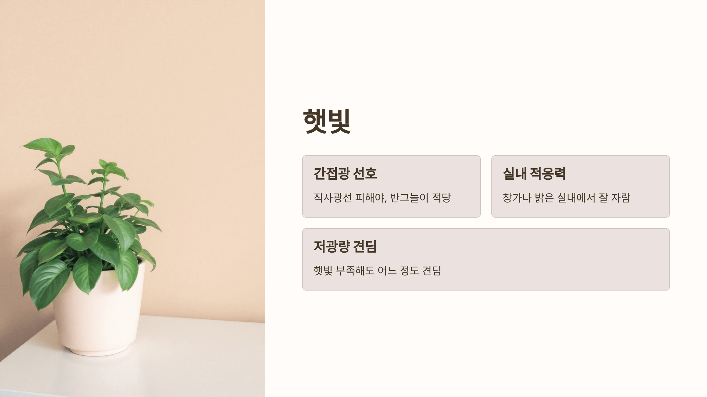 스킨답서스와 관련된 사진입니다.