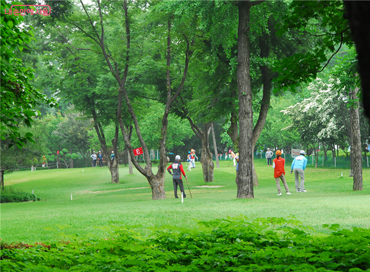 잠실파크골프장