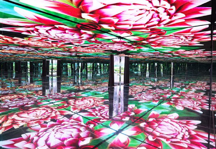 가평 베고니아 새정원