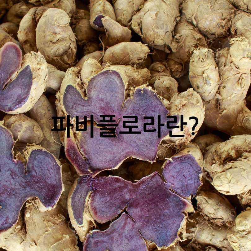 파비플로라 효능