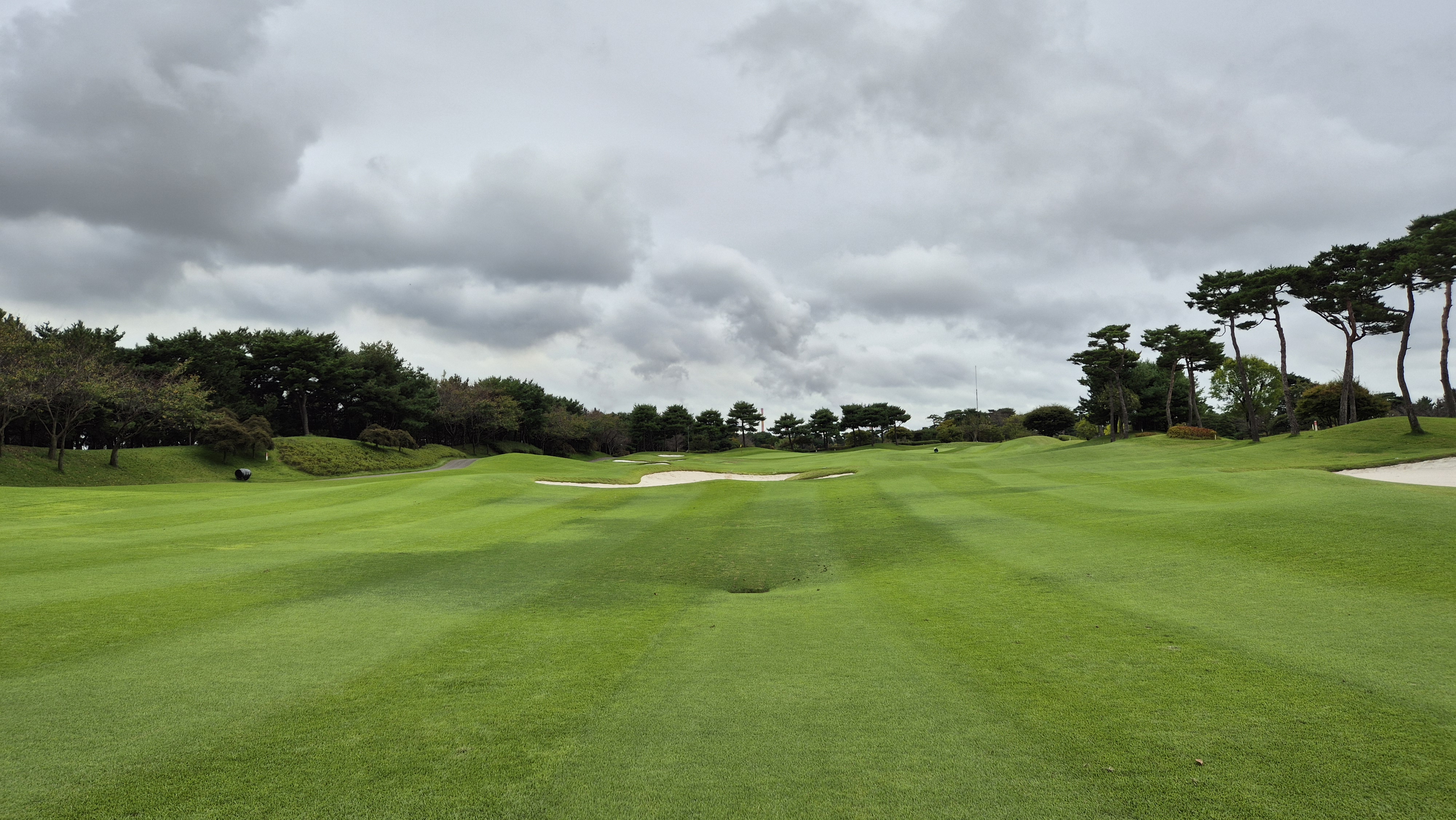 파인스톤cc 파인 코스