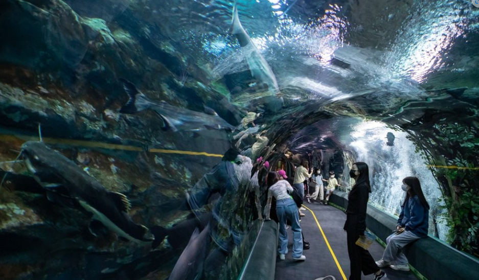 롯데월드 아쿠아리움