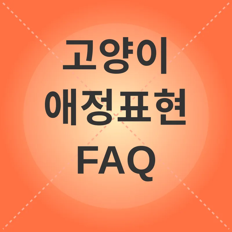 고양이 애정표현_4