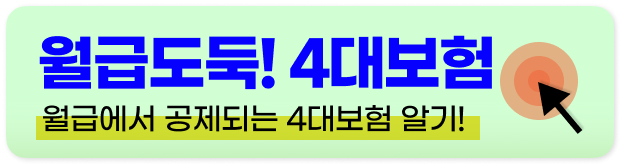 연봉 실수령액