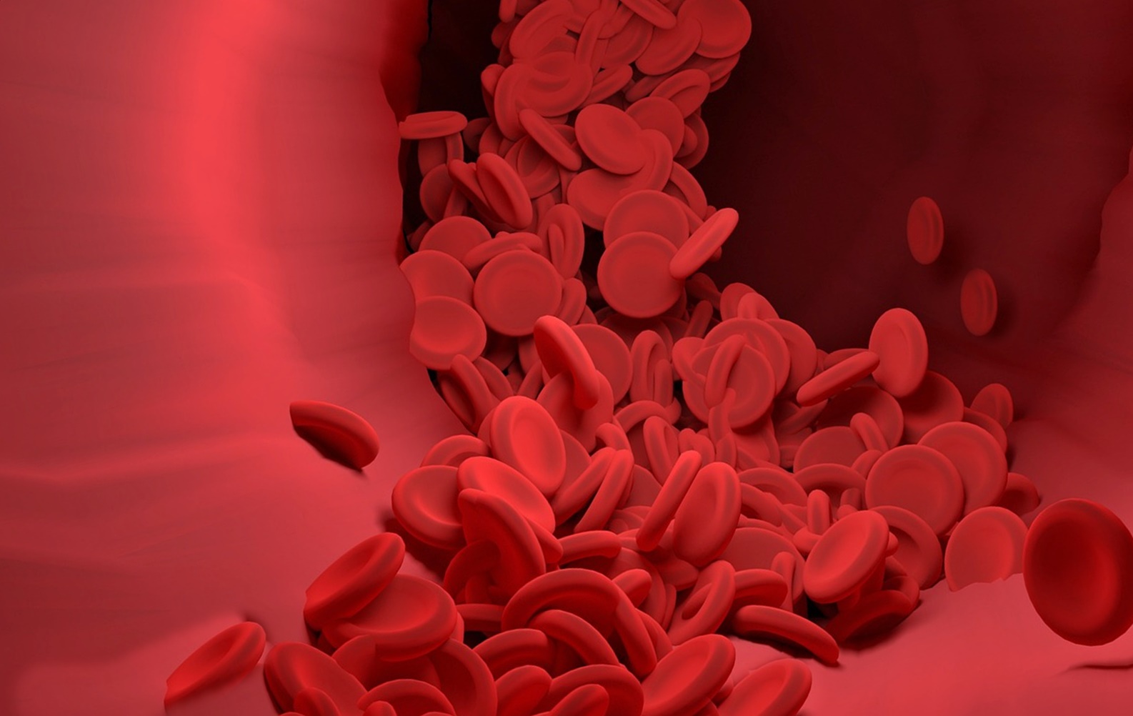 염증이 다시 올라갈 때 몸이 보내는 '위험 신호 5단계'