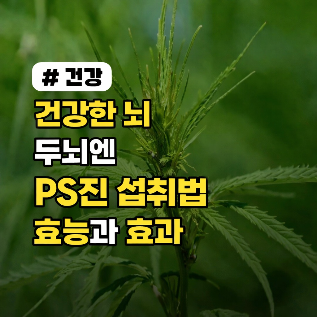 이시형 박사의 두뇌엔 PS진