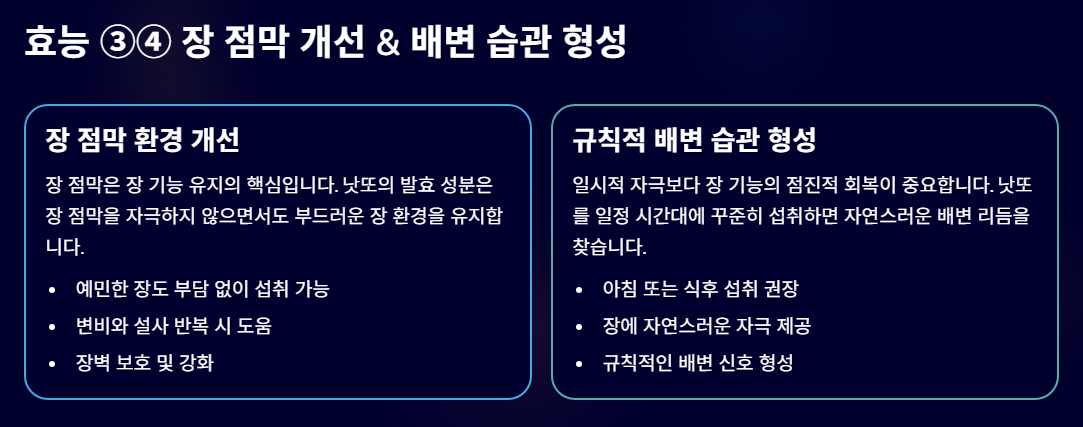 변비에 좋은 음식 낫또의 효능 알아보기