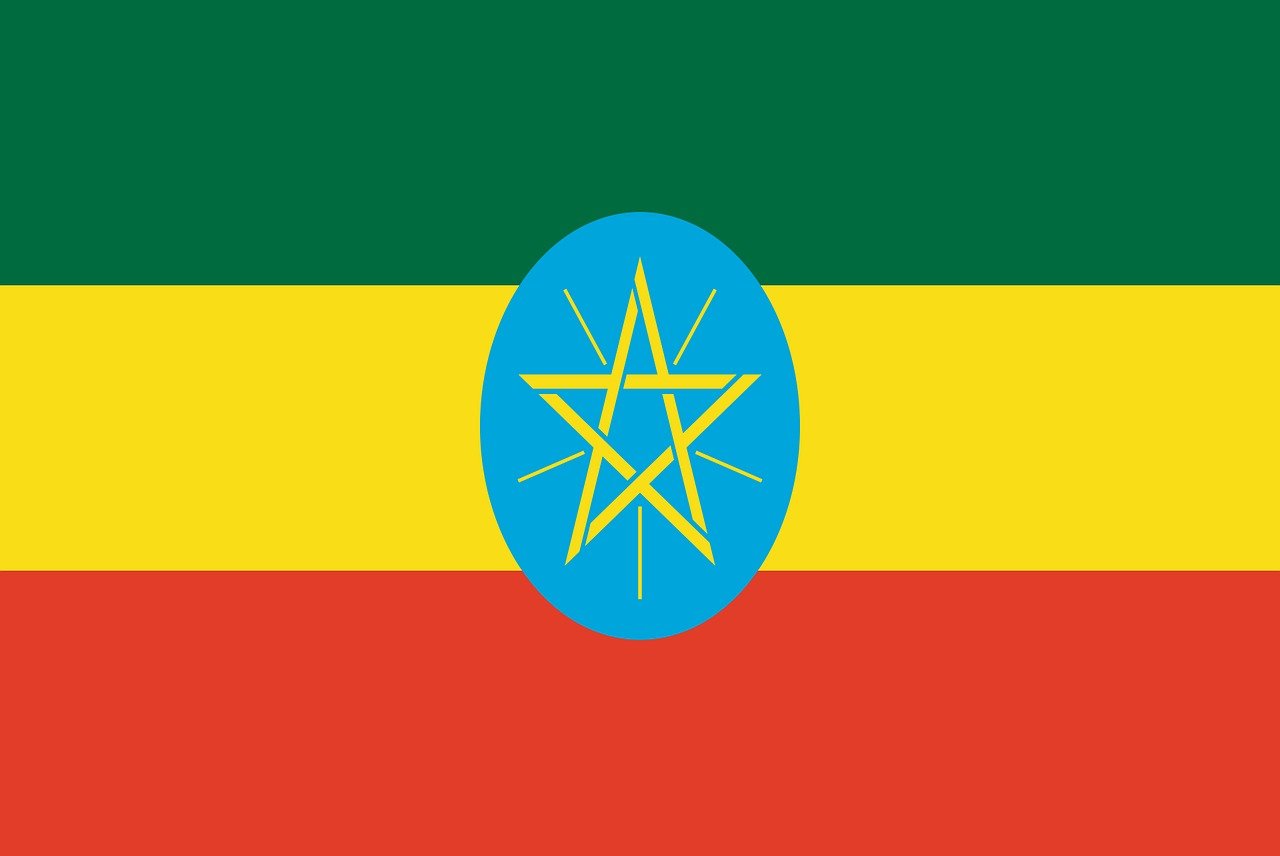 에티오피아 경제 구조 (농업 중심 경제의 구조, 커피 산업, 외환시장)