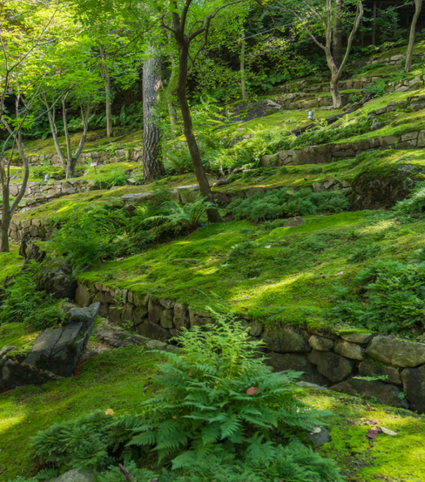 화담숲 사진