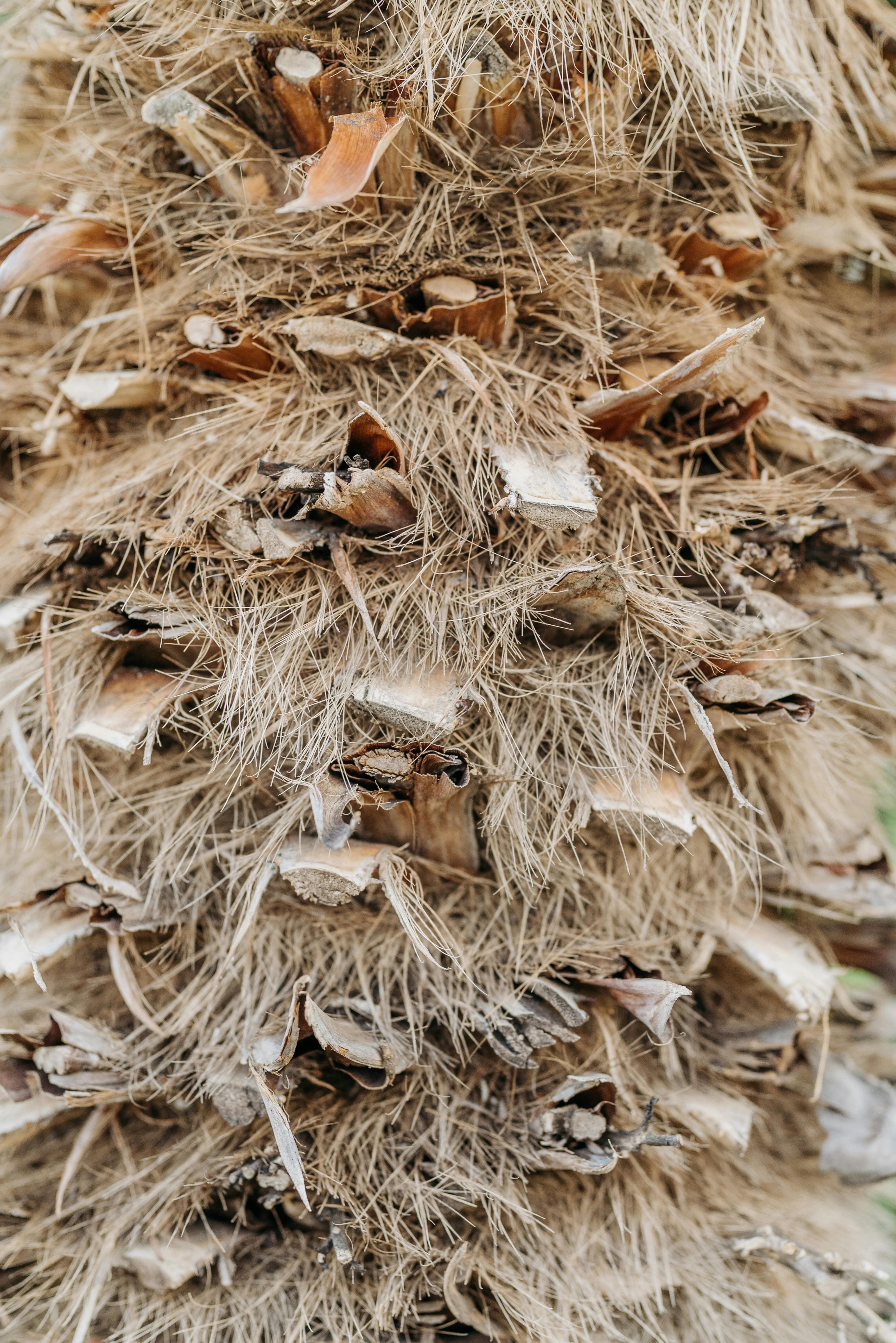 나무 없이 종이를 만든다: 돌과 식물 섬유로 탄생한 새로운 캔버스
