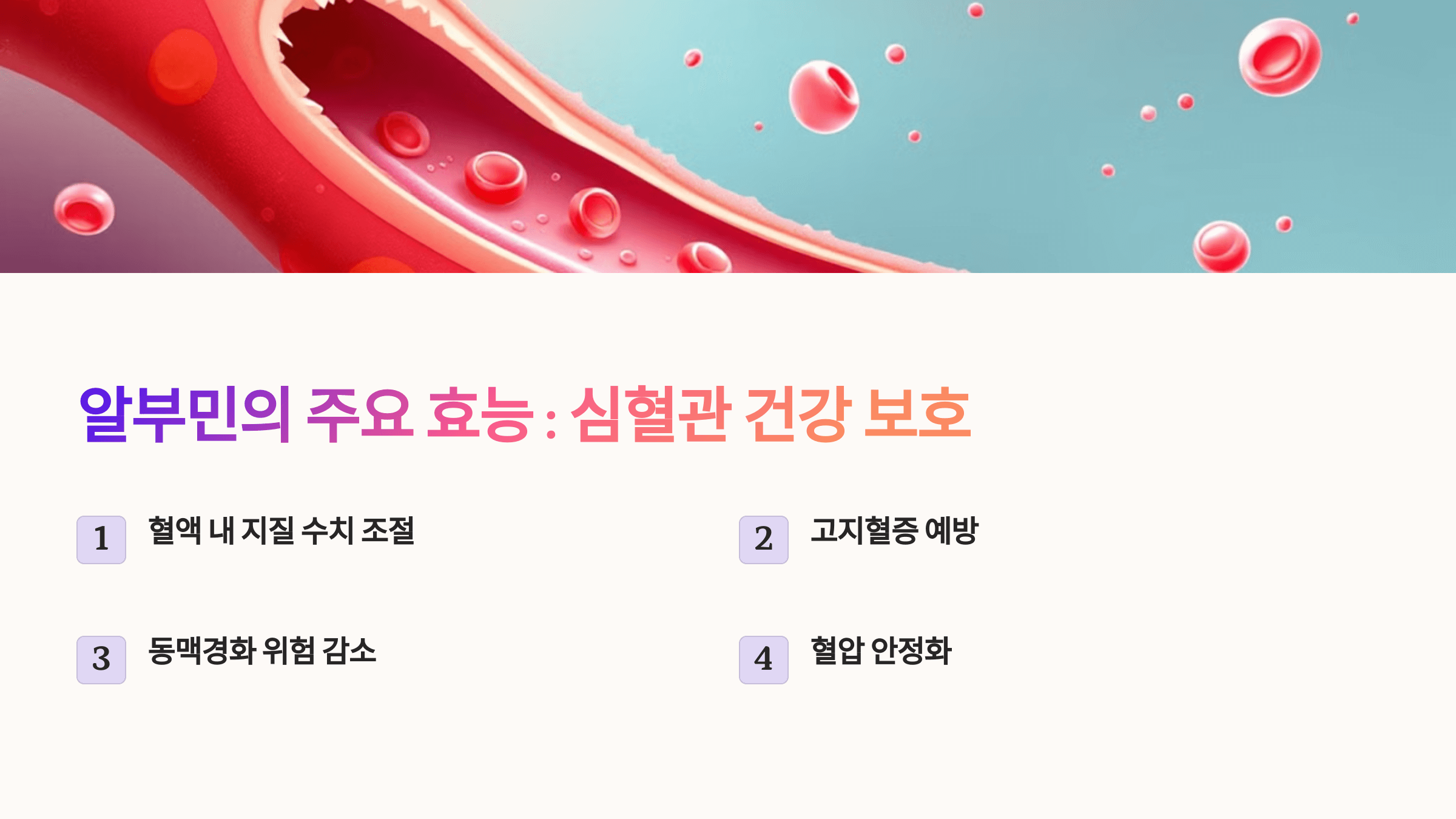 알부민과 관련된 사진입니다.