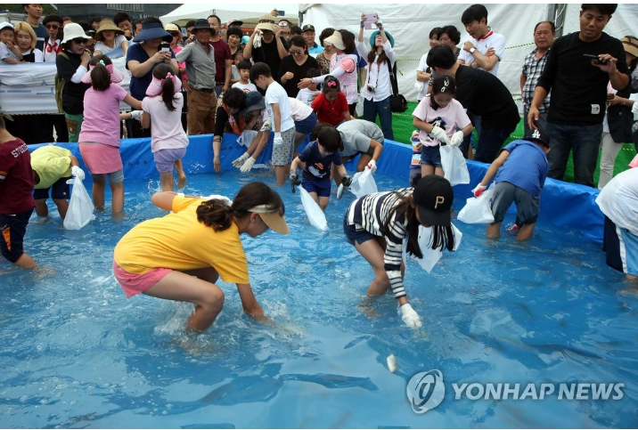 전국수산물축제일정
