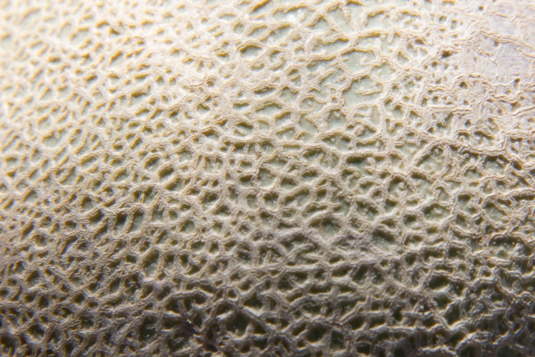 yeast