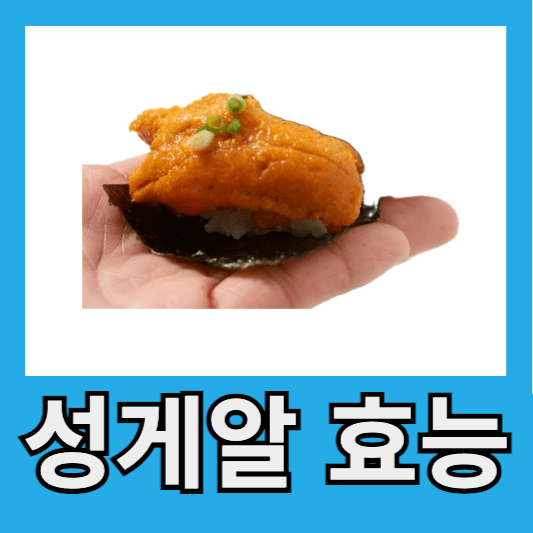 성게알 효능