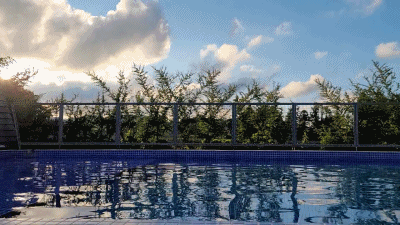 어라운드폴리 수영장 풍경