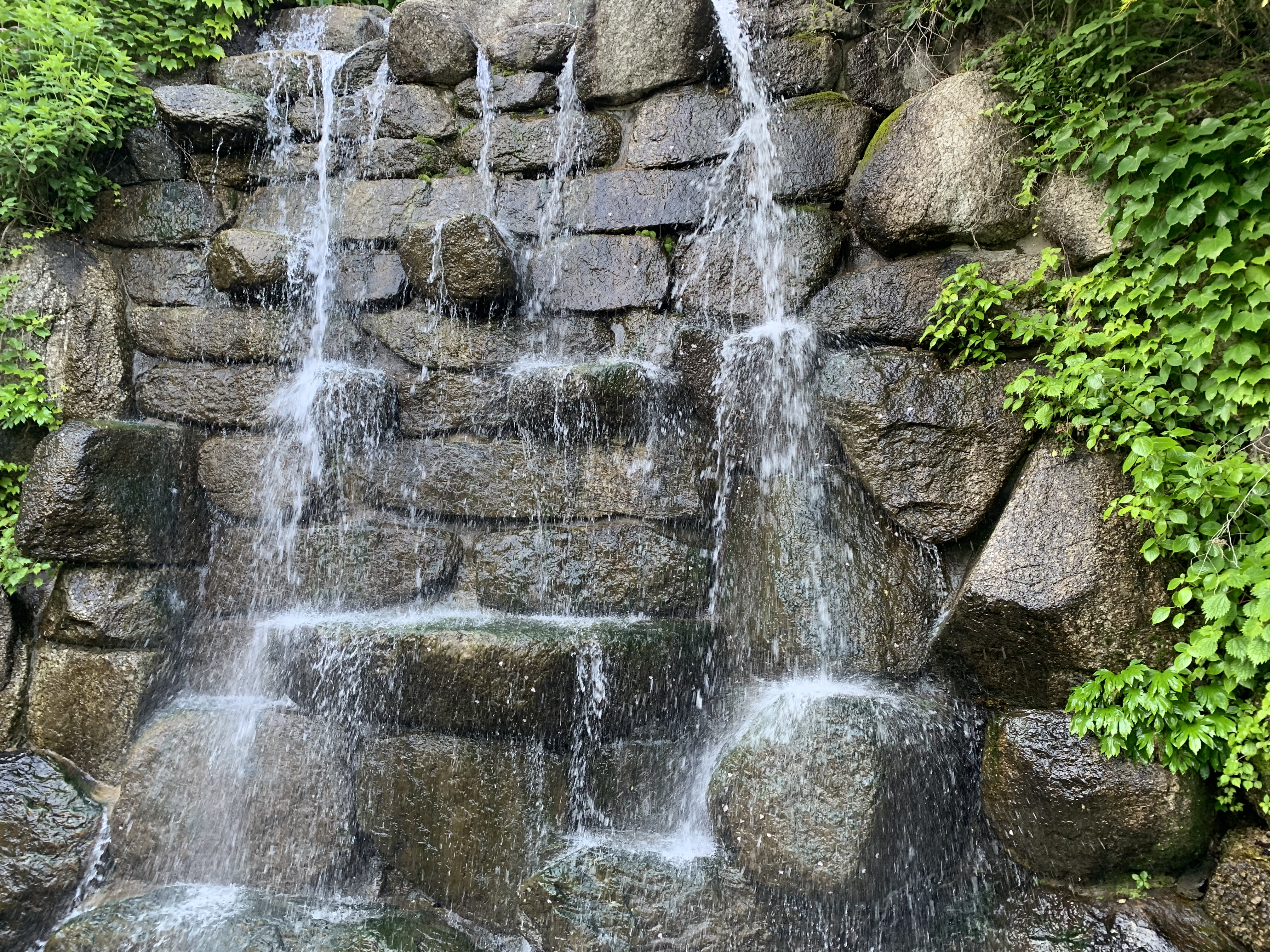 화담숲 단풍 절정시기 예매 꿀팁 