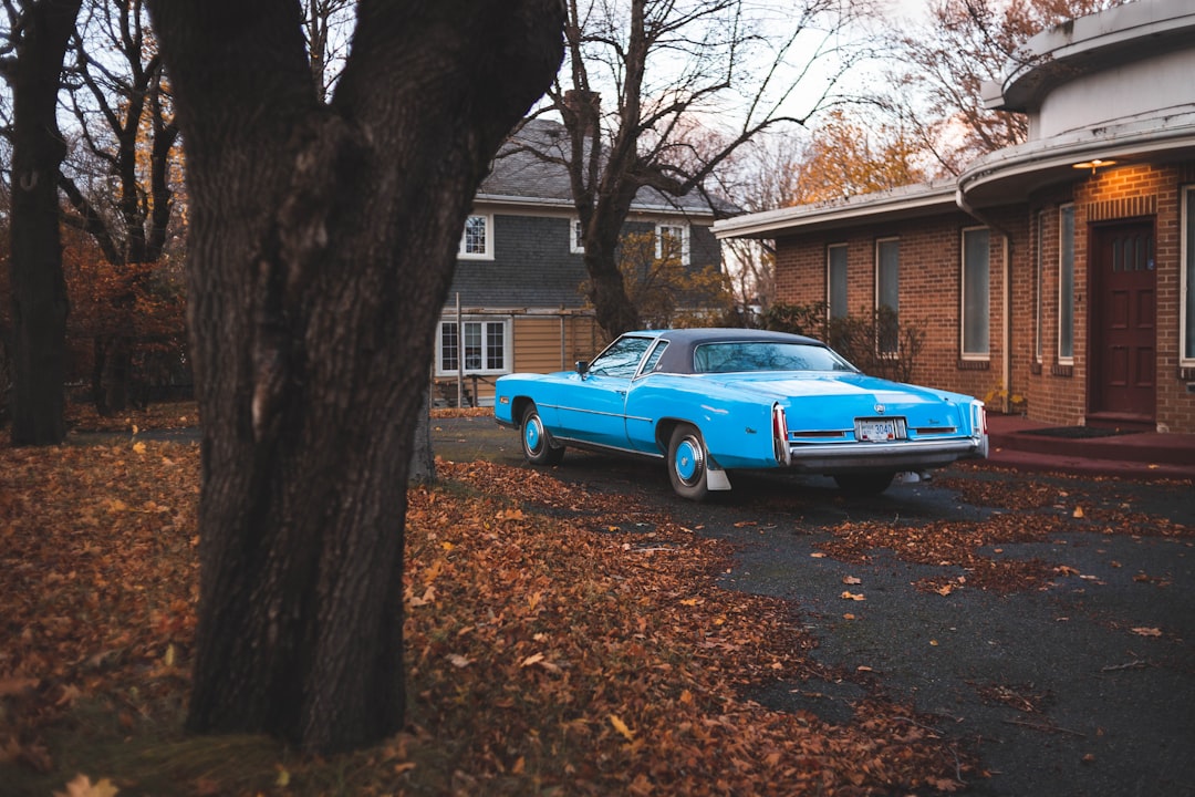 Blue House Parking