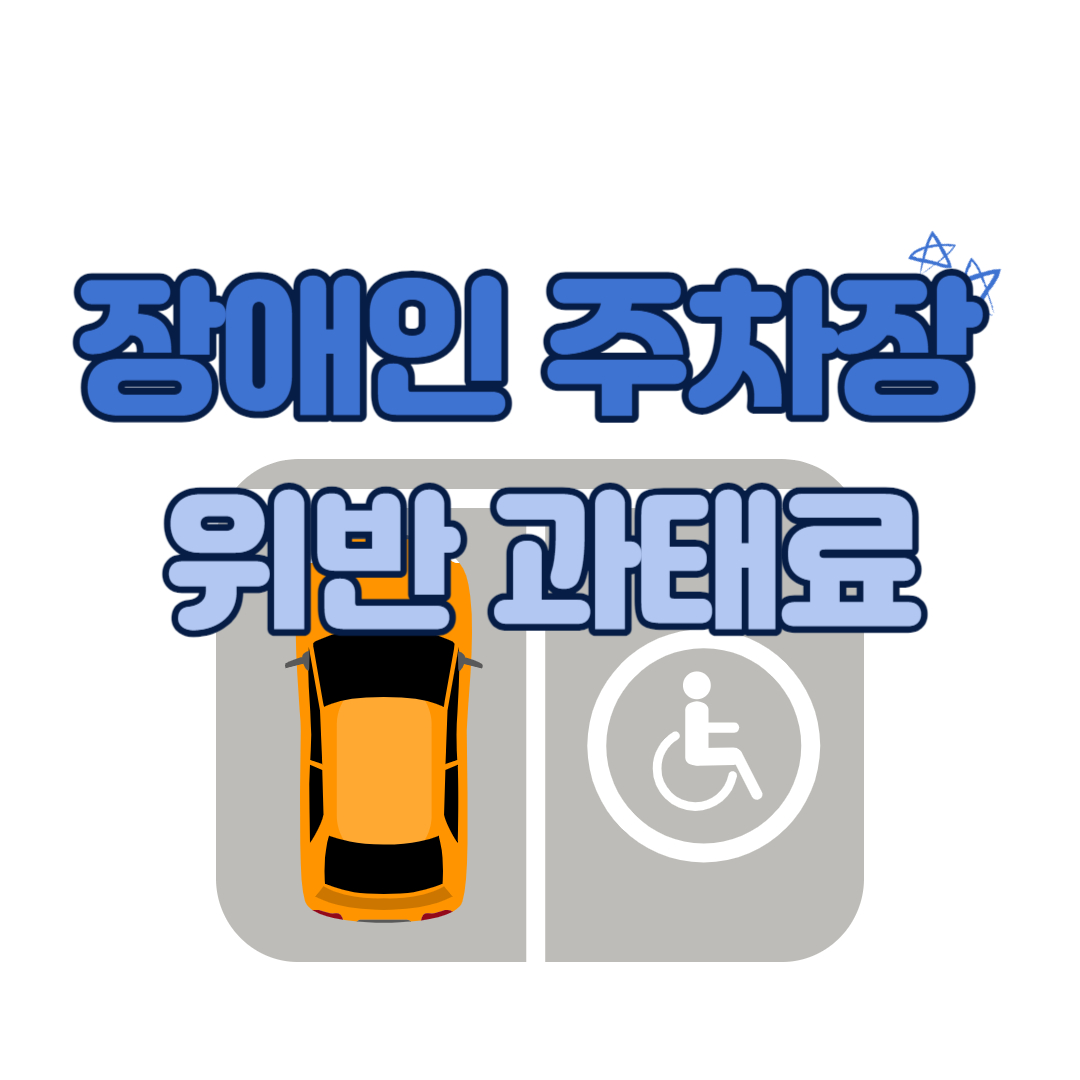 장애인 전용 주차구역 주차위반