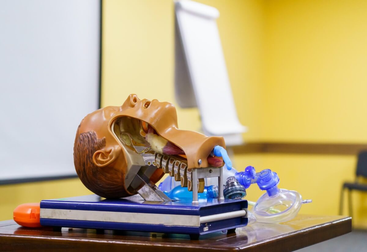 목디스크-수술모형