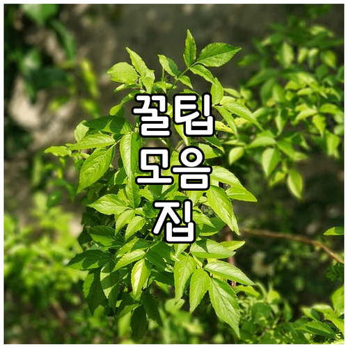 명절마다 고흥군이 돕는 2025 노인..