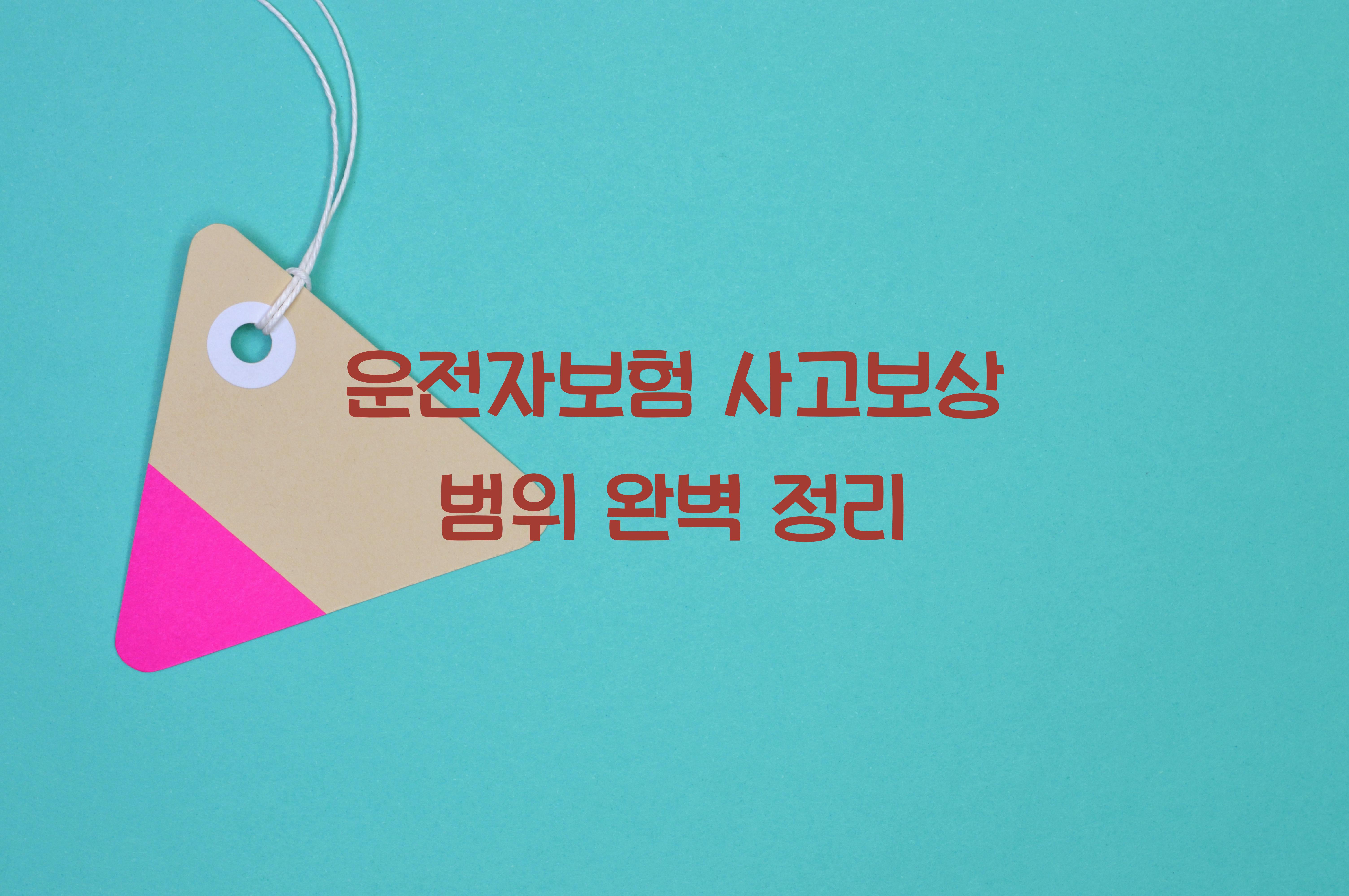 운전자보험 사고보상 범위