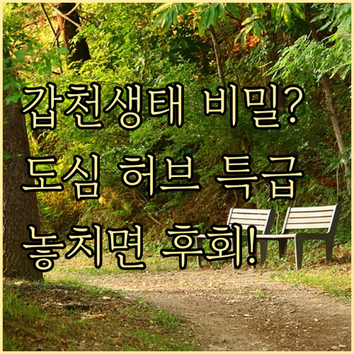 도심 속 생태 문화 허브, 갑천생태호..
