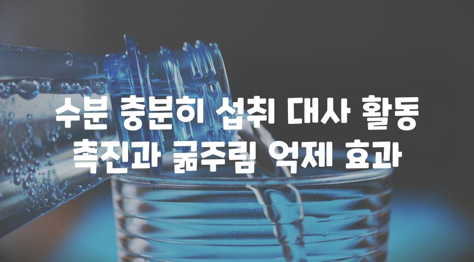 수분 충분히 섭취 대사 활동 촉진과 굶주림 억제 효과