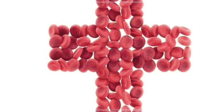 골수이형성증후군: 증상, 치료, 예방법