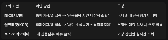 신용사면 조회 기관및 기관별 확인방법과 특징