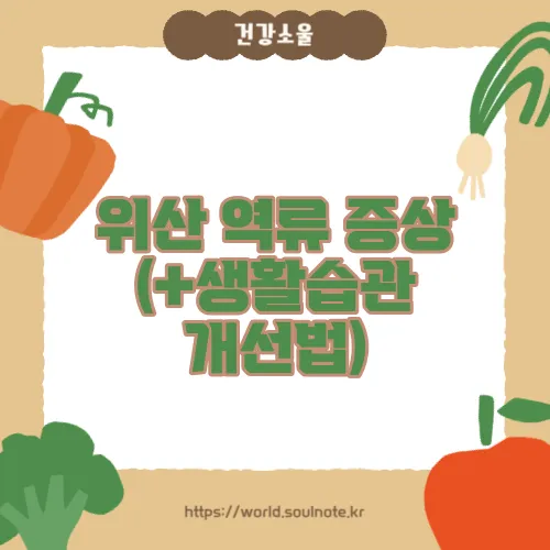 위산 역류 증상 (+생활습관 개선법)