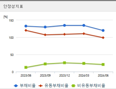 이수페타시스 주가 전망 안정성 (1031)