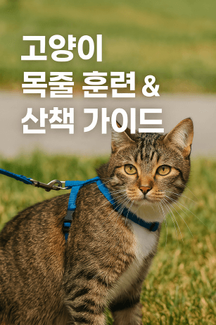 고양이 목줄, 훈련하면 정말 괜찮을까? 산책 전 꼭 알아야 할 하네스 사용법
