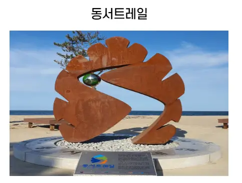 숲길체험-트레일