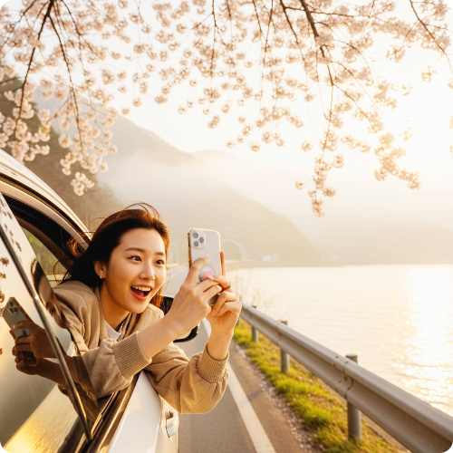 경기도 벚꽃 주차 가능한 한적한 명소