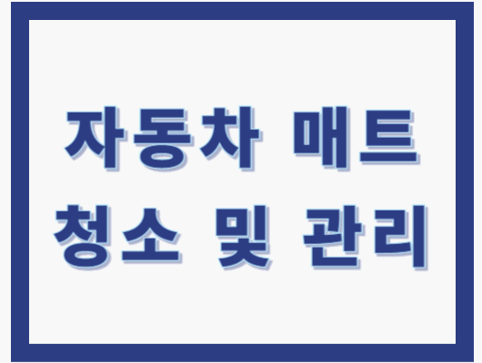 자동차 매트 청소