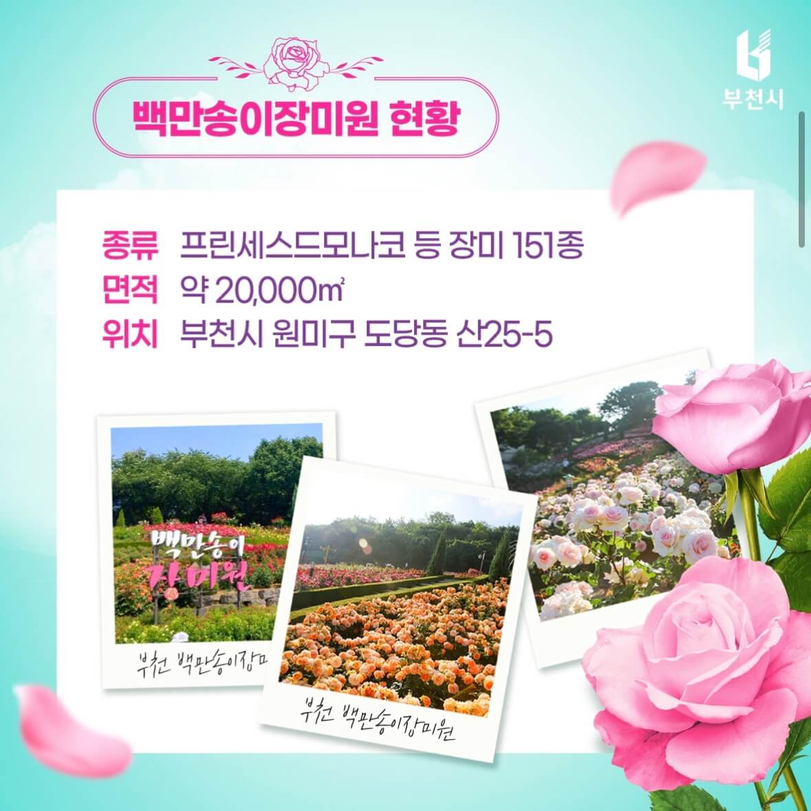 부천 장미축제