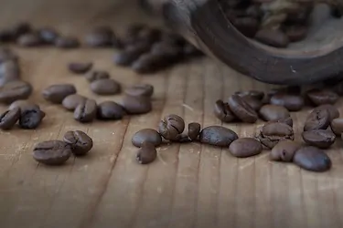 Bisakah Saya Menggunakan Kopi Biasa Di Mesin Espresso?