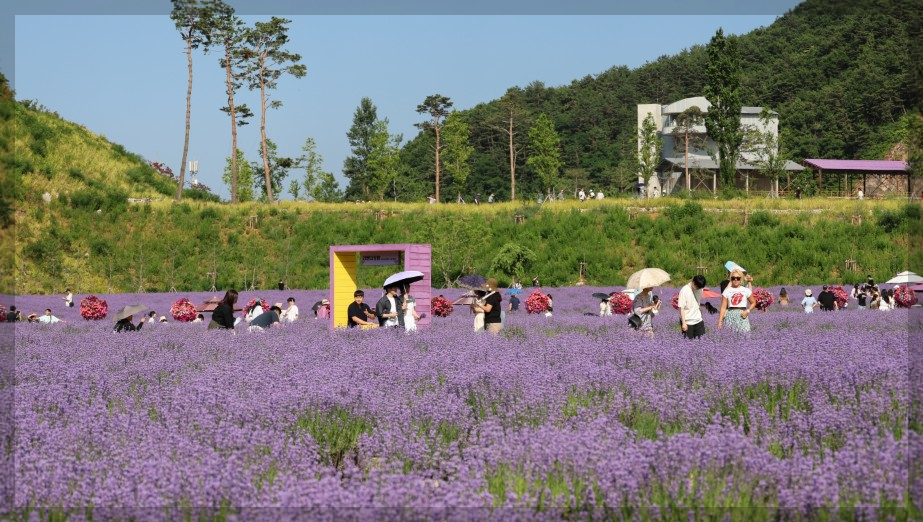 6월 국내 여행지 추천