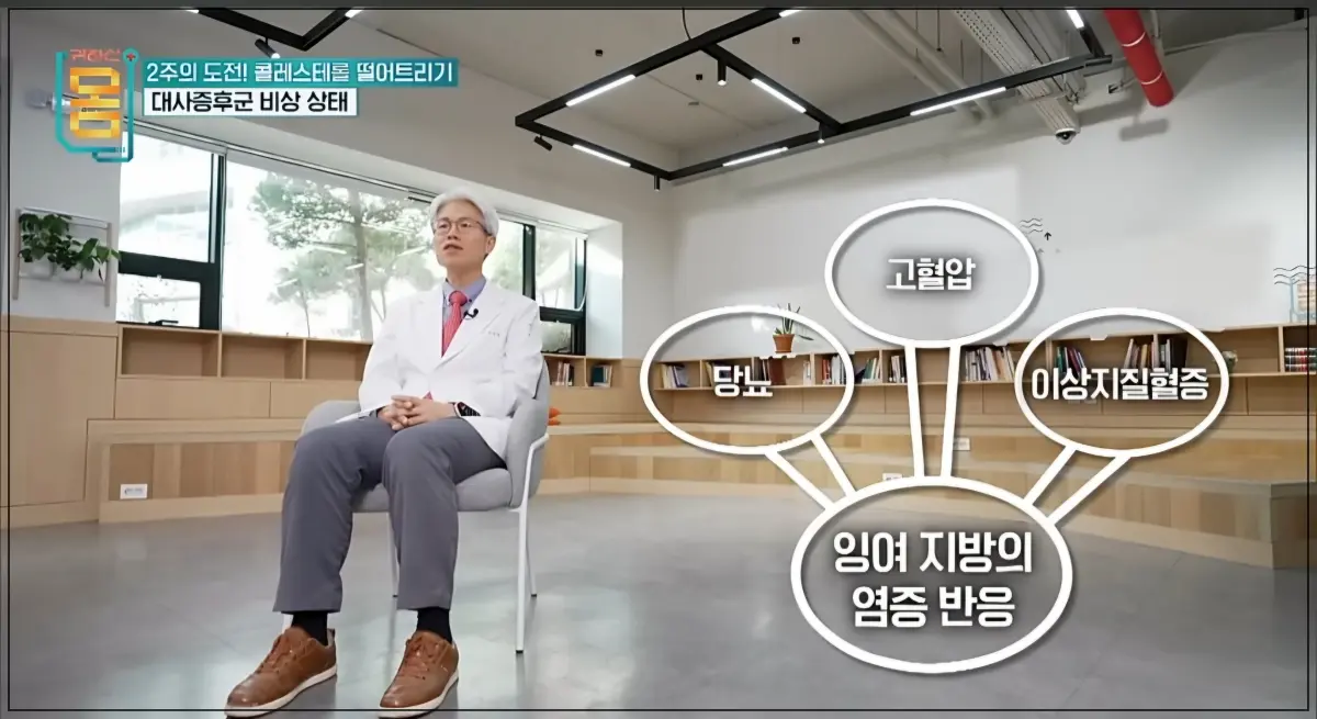 EBS-귀하신몸-콜레스테롤-당뇨와-이상지지혈증-콜레스테롤의-관계를-설명해주시는-의사선생님