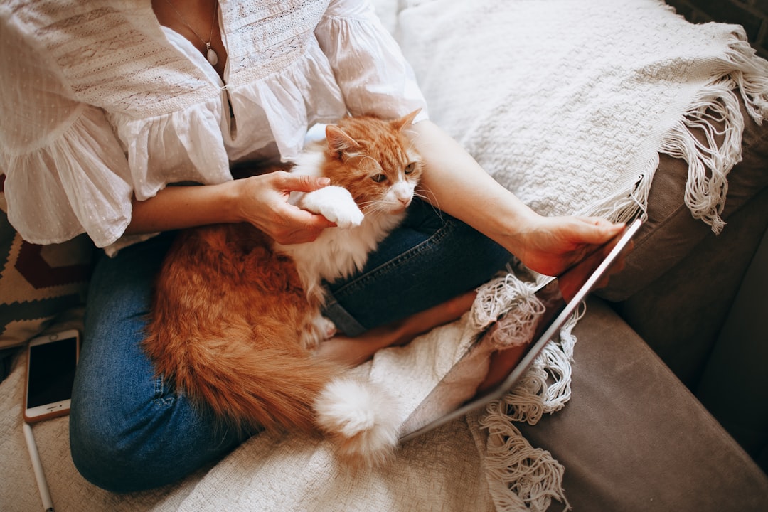 Care Level