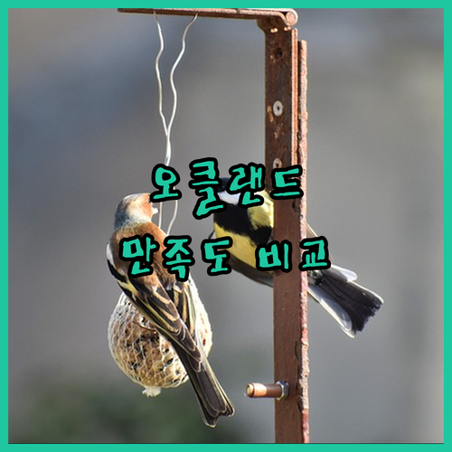 오클랜드 호라이즌 바이 스카이시티, 