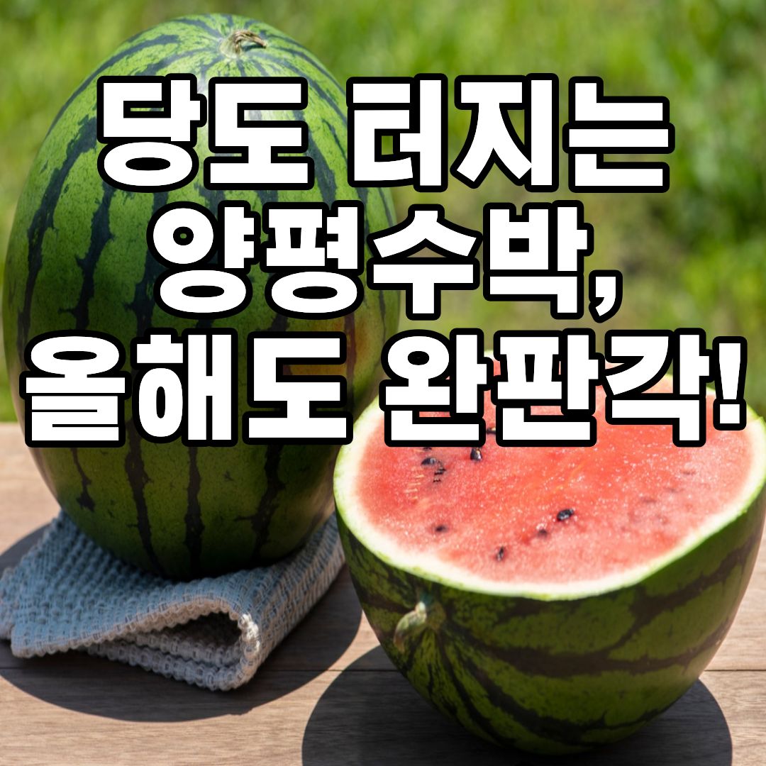 양평 수박축제 2026 일정 수박구매 물놀이 체험 행사 정보