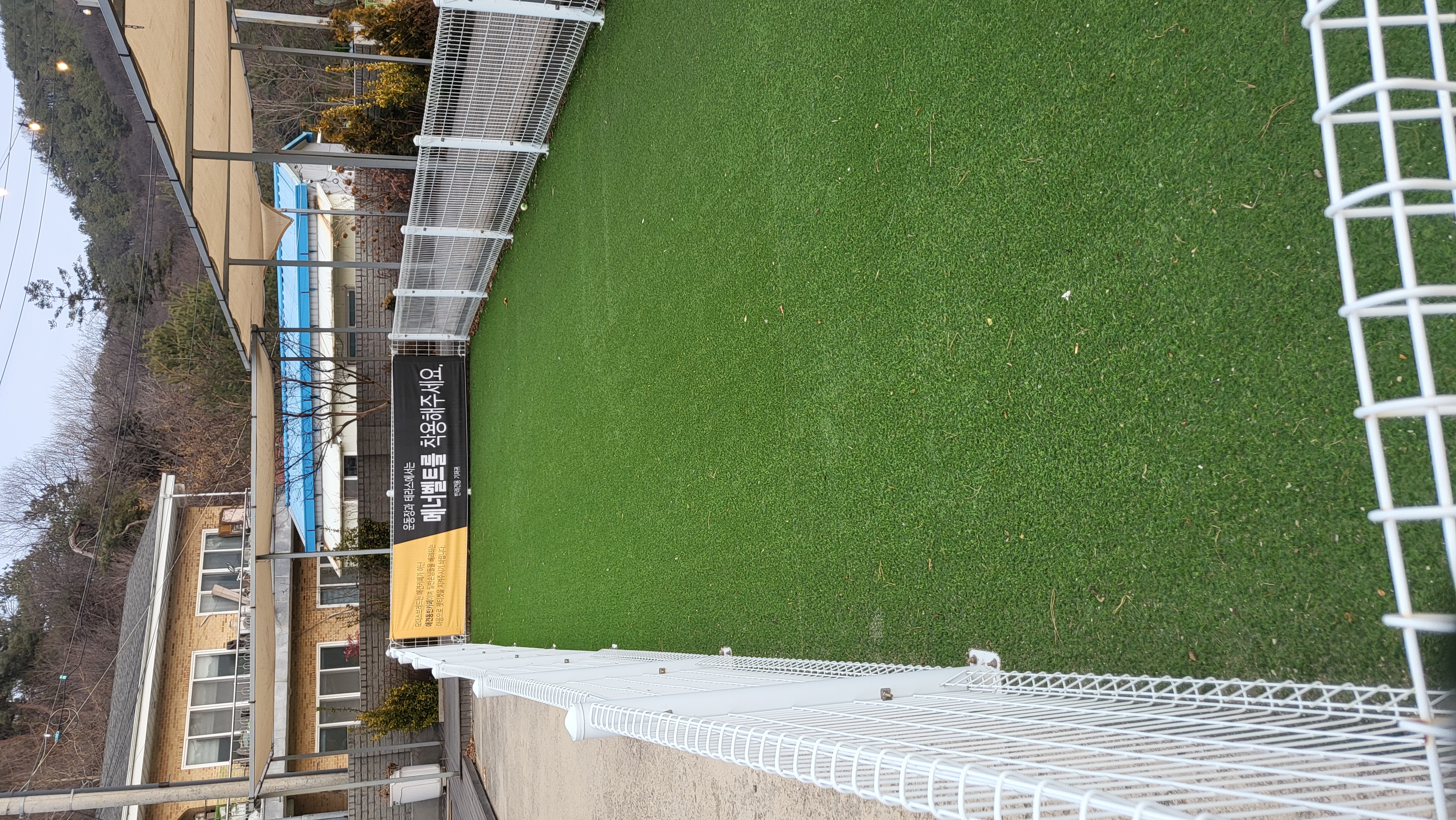 애견운동장 사진