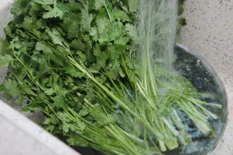 고수 나물 요리 재배 먹는법 무침 김치 만드는 법_5