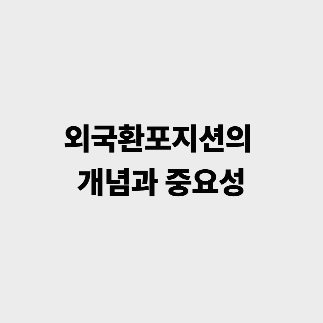 외국환포지션의 개념과 중요성