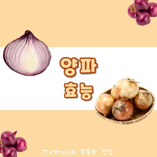양파 효능 섬네일