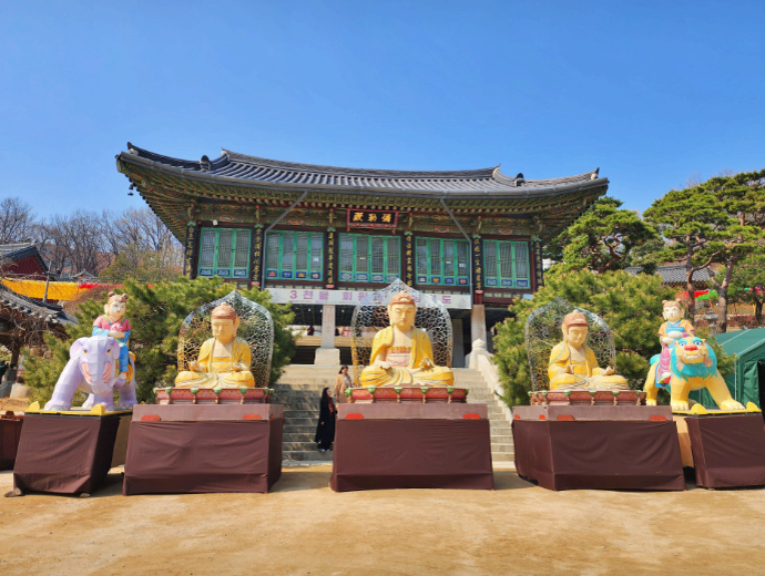 2025. 4. 19. 봉은사 연등제 야경 산책 후기 (겹벚꽃, 라일락, 홍매화 개화상황 포함)