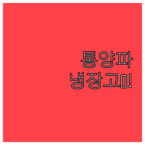 통양파는 냉장고에 보관하면 안 되는 ..