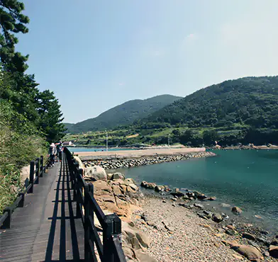 금오도 비렁길 산책로